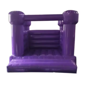 kids bouncy castle